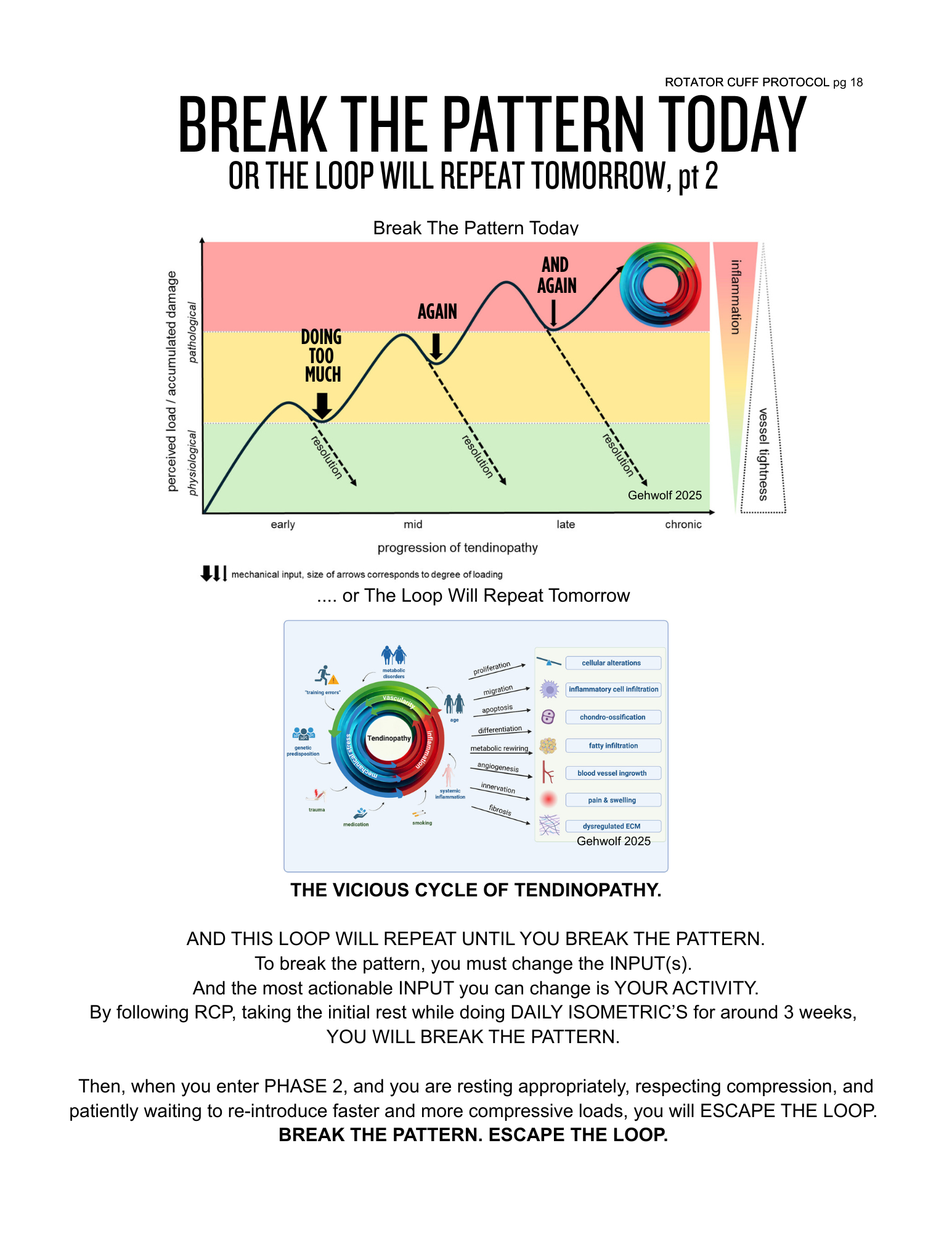 ROTATOR CUFF PROTOCOL