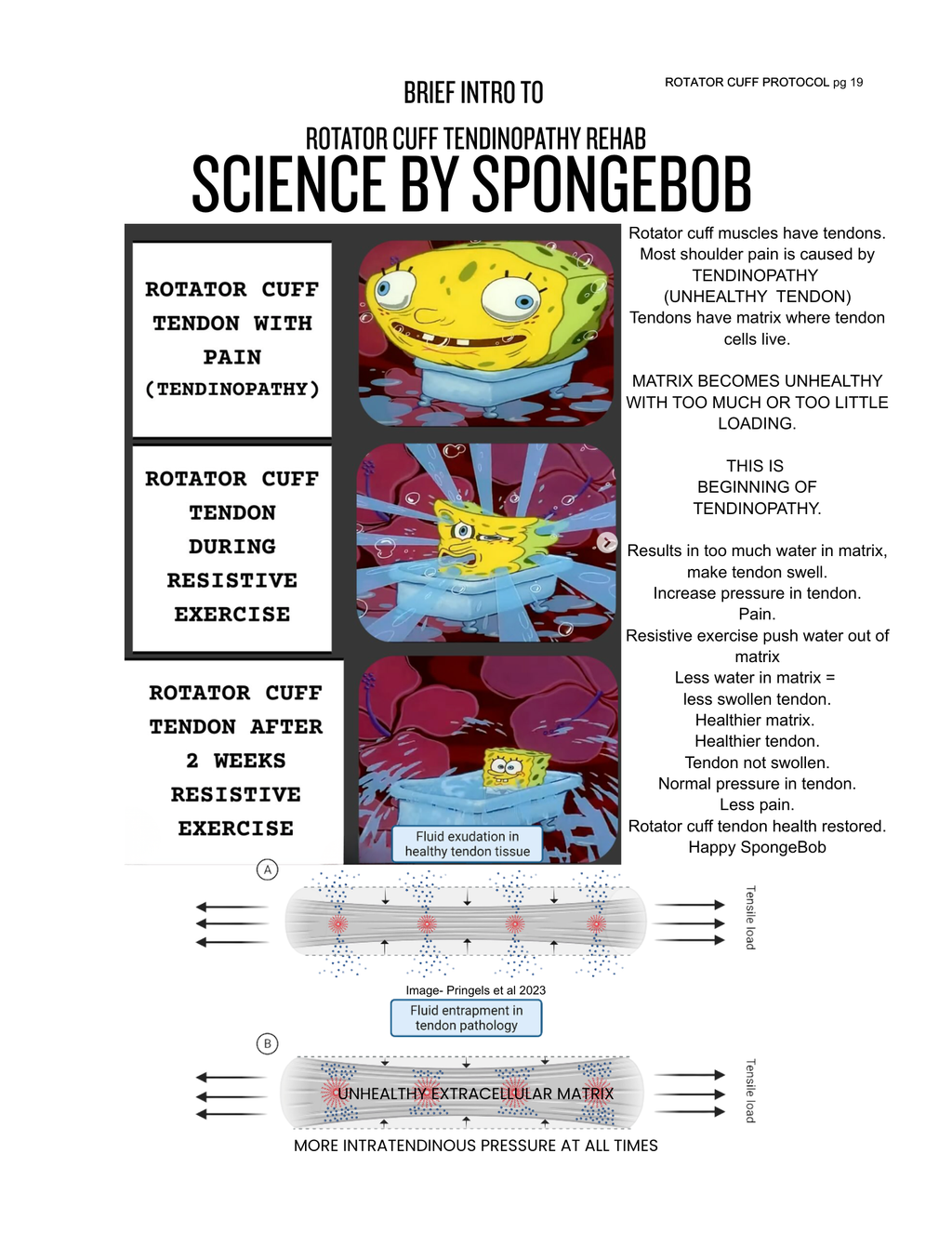 ROTATOR CUFF PROTOCOL