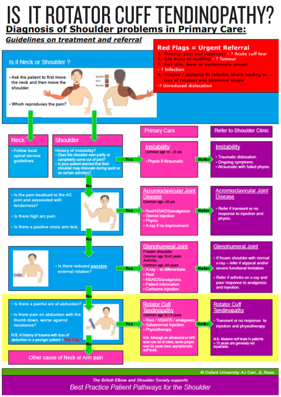 ROTATOR CUFF PROTOCOL
